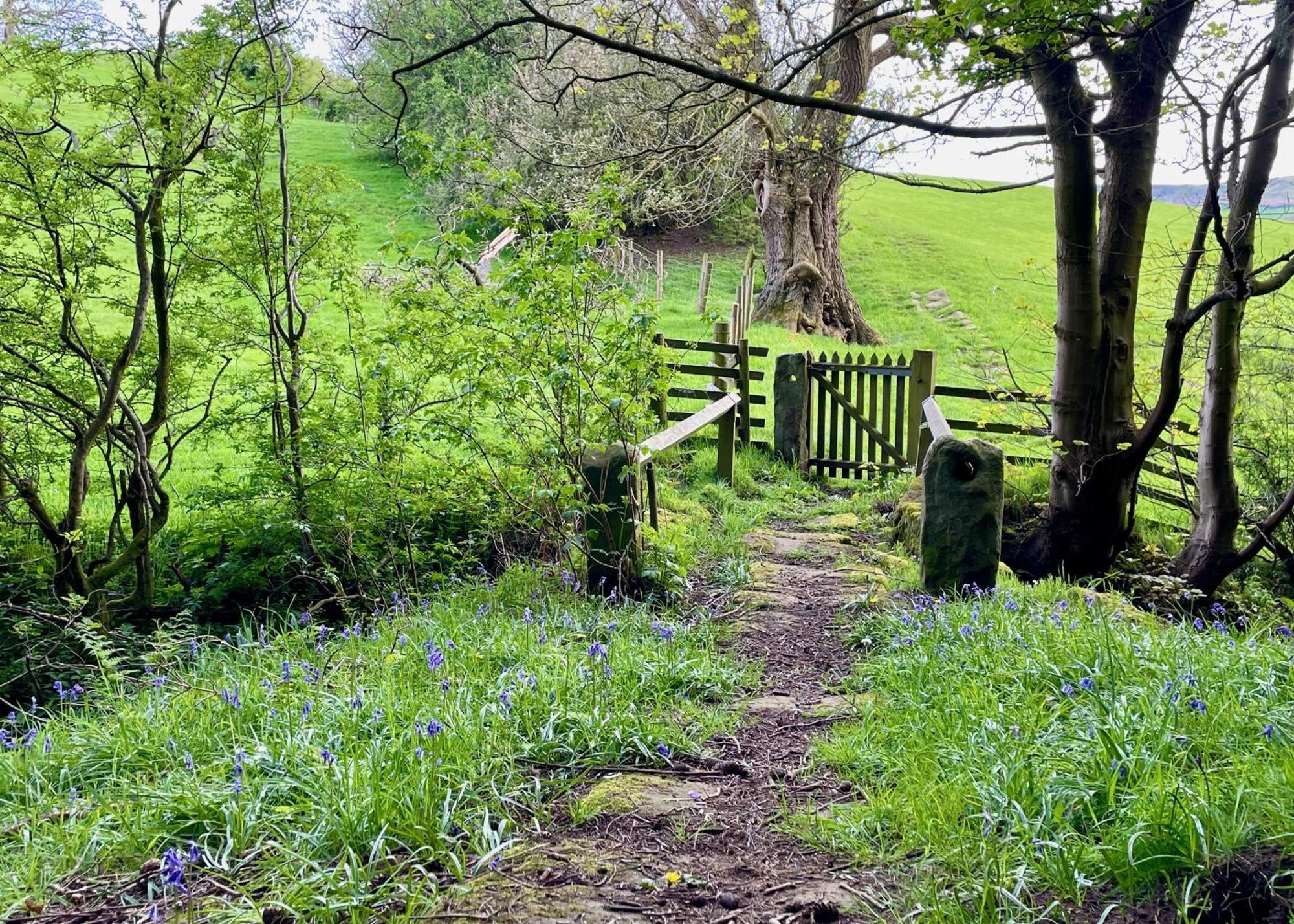 Church House Farm Danby Dış mekan fotoğraf